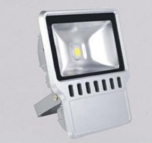 China 100W high power Led lighting and outdoor led lights IP65 supplier wholesale