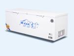 Commercial top open display chest freezer