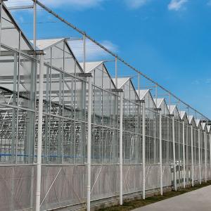 China Agricultural Multi Span Hydroponic Fiber Glass Greenhouse For Vegetables Growing wholesale