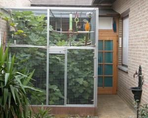 China aviary mesh for Medium Pet Birds wholesale