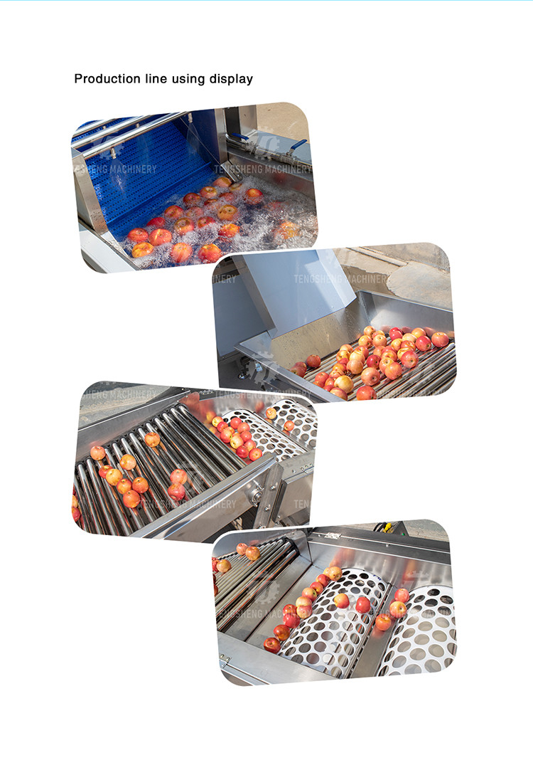 Multifunction Fruit And Vegetable Processing Line Automatic Washing And Sorting Machine