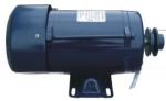 Ex-proof Fuel Pump Motor