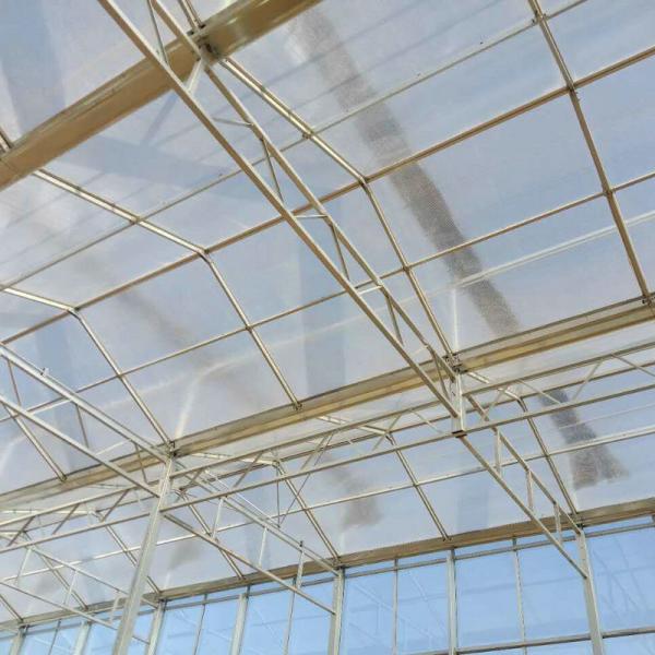 factory venlo Polycarbonate sheet farming greenhouse Multi-Span Commercial pc