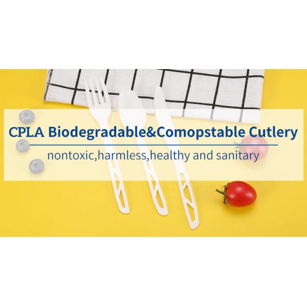 OEM ODM Eco Friendly Disposable Cutlery Kit Biodegradable Compostable