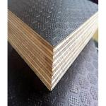 Customized Size Film Coated Plywood Moisture Proof