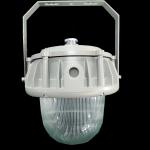 Flameproof 50W/100W explosion proof light fixture CE TUV Ex Certified