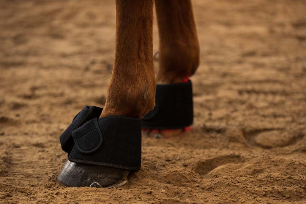 30pcs LED Near Infrared Red Light Therapy Wrap 15W For Horse