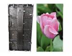 SMD 2727 Outdoor Rental LED Display P4.81 For Stage Curve Led Rental