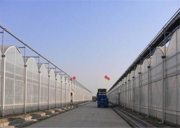 Sound Insulation Polycarbonate Sheets Greenhouse Anti Fog Surface Design Free
