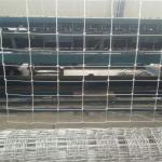 Eco Friendly Fixed Knot Deer Fence , Farm Guard Field Fence ISO9001 Certificated
