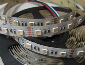 China DC12V DC24V Available 5050 RGBW/RGBWW/RGBCW LED Strip wholesale