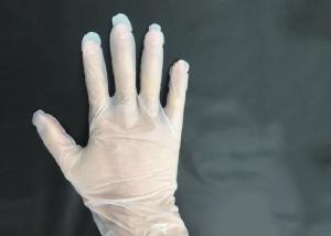 China Eco Friendly Disposable Sterile Gloves Oil Resistance Smooth Touch Easy Wear wholesale