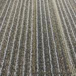 Commercial Modular Nylon Square Carpet Tiles Heavy Duty Floor Covering