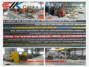 China Oil hose EN853 1SN 2SN wholesale