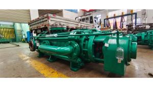 China 6kV 10kV Self Balancing Multistage Water Pump 150mm Inlet Outlet wholesale