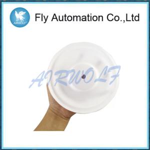 China 108839 Ptfe Air Operated Diaphragm Repair Kit 3 / 4&quot; D54211 D5d211 D4d966 wholesale