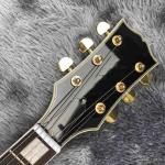 Double F-Holes Hollow Body Jazz Electric Guitar Ebony Fretboard Tremolo System
