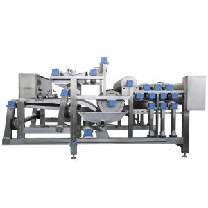 China Beverage Fruit Juice Production Line Energy Saving 20T/H Large Capacity wholesale