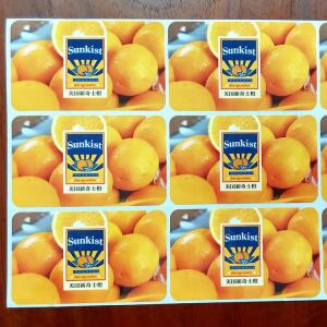 China Food Packaging Liner Clay Coated Food Adhesive Labels for CMYK Printing and Packaging Solutions wholesale