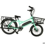 20" Magnesium Alloy Frame Ananda Bafang MID Drive Electric Bike for Family or