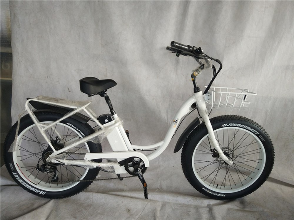 Adult Fat Tyre Cycle E Ebike Electric Bike 48V 1000W 21A Central Mid Drive Motor 26 Inch