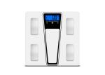 Explosion Proof 180KG Electronic Body Fat Analyser Scale