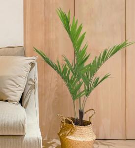 China Soft Artificial Potted Floor Plants Kenita Pot For Home Decor Uv Resistant wholesale