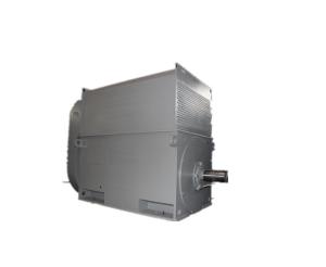 China H355 H1120 Frame High Voltage AC Motor YKK 5004-2 1250kW wholesale