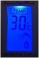 Gas Water Heater