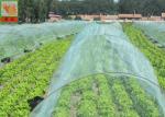 Anti-Hail Netting, Agricultural Netting, HDPE Hail Protection Netting, 10mm Hole