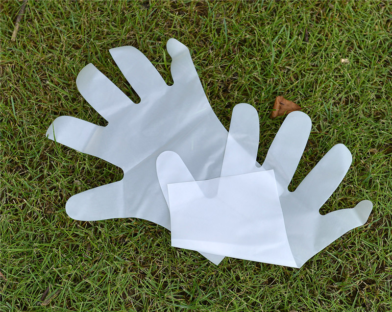 Food Service Water Proof Tpe Disposable Plastic Gloves 1.6g/Pc