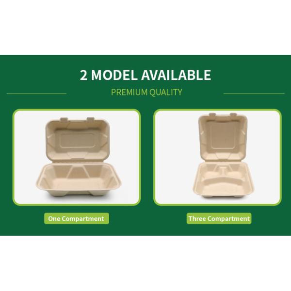 8Inch Clamshell Food Containers Compostable Bagasse Food Box