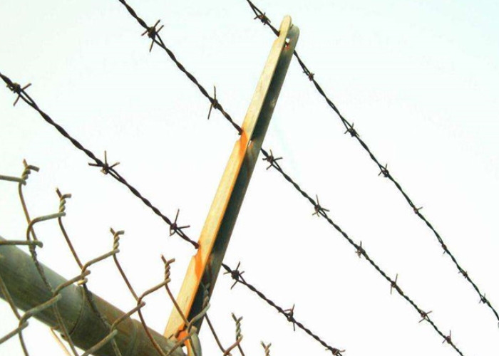 12*14 Gauge Field Fencing Galvanized Steel Barbed Wire 50kg/Roll Q235