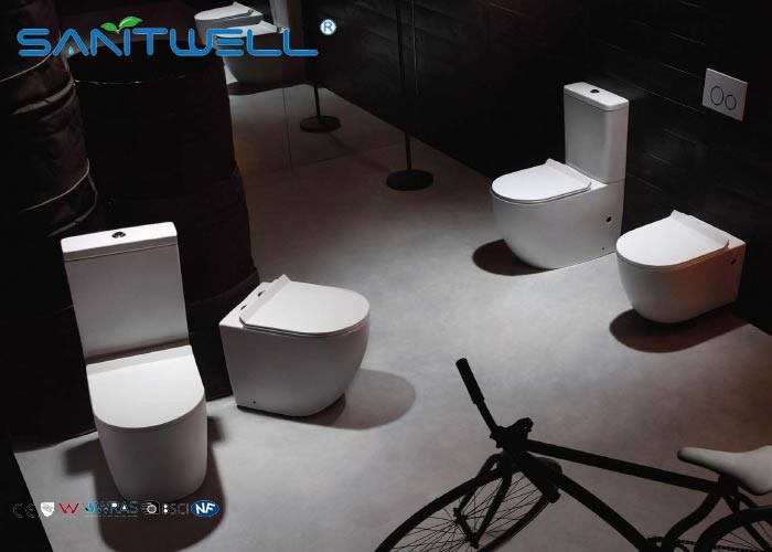 Floor mounted siphonic dual flush toilet modern sanitary 730*390*725 mm Size