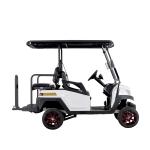 48V Lithium Batteries M1S2 2 Design Perfect Electric Golf Car For Golf Course