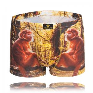 China high quality men boxers shorts 4 colors underwear men 100% cotton sexy boxers comfortble c wholesale