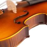 china factory Top Sale European Model Flamed Cheap Student Solid violin Ludwig
