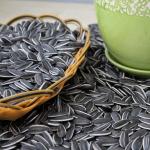 Delicious and Nutritious Sunflower Seeds 3668 for Your Daily Snack