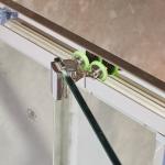 Stainless Steel Frame Curved Sliding Door Shower Room Enclosure OEM For Bathroom