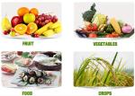 Amino Acids Fish Protein Powder Raw Material For Fertilizer Industry