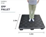 HANWELL 2 Way Entry Plastic Pallets EPP Foam Plastic Epal Pallet