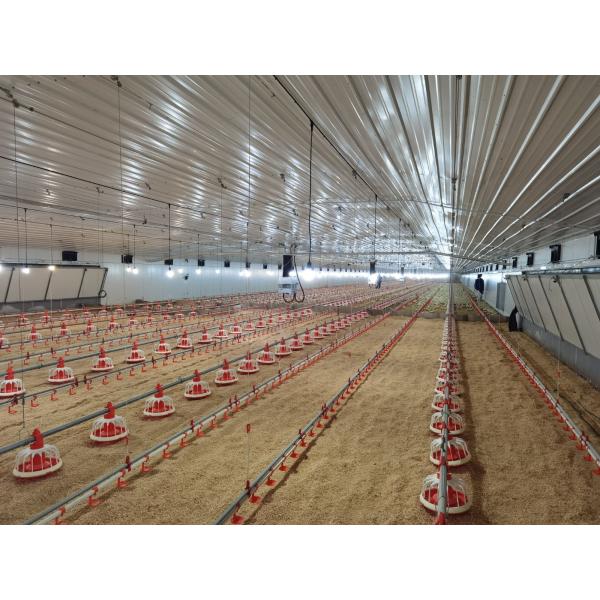 Hot Dip Galvanized Metal Steel Broiler Layer Poultry House With Automatic Brooding Equipment