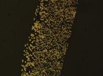 0.43mm Thickness 80% Porosity 7600 Bubble Point Multi-Layer Great Dirt Holding