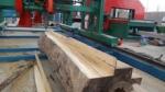 Electric Circular Saw Twin Cut Saw Portable Swing Blade Sawmill, Wood Circular