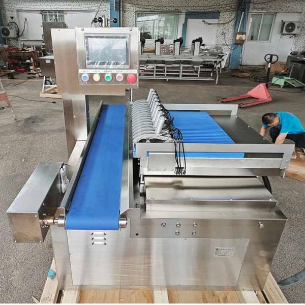 Industrial Auto Double-Cut Bandsaw Machine For Frozen Beef Ribs with accurate and precise cut