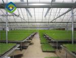 UV Radiation Protection Layer 120km/H Multi Span Greenhouses
