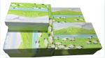 Beautiful Pattern Flip Top Gift Box Custom Rigid Cardstock Elegant Design