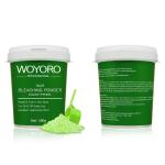 500g Hair Bleaching Powder