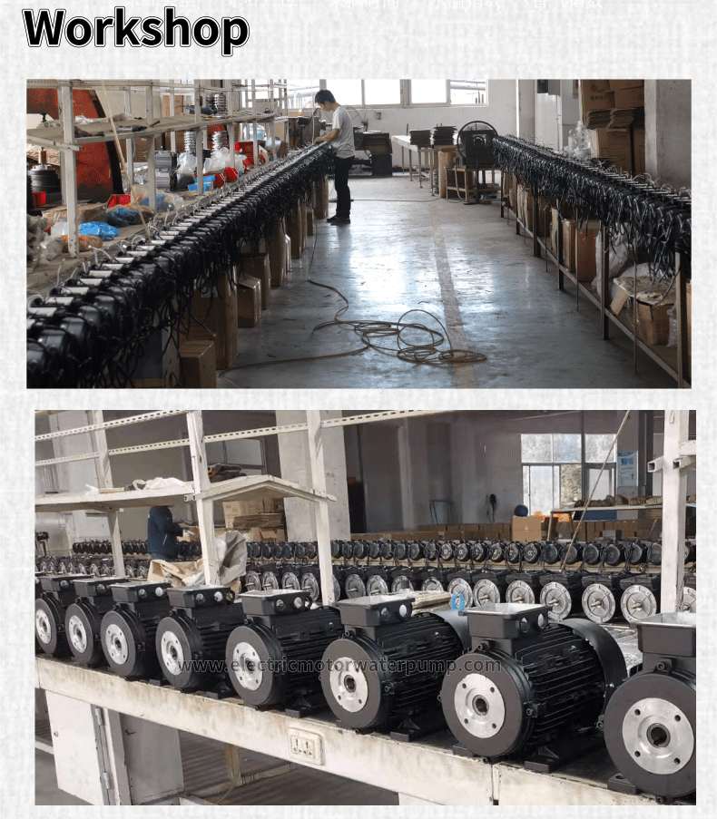 hollow shaft electric motor