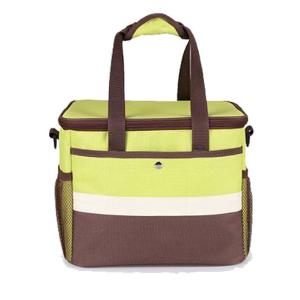 China Various Styles Insulated Cooler Bags Oxford Material 29x22x24 Cm Size wholesale